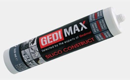 GEDIMAX SILICO CONSTRUCT