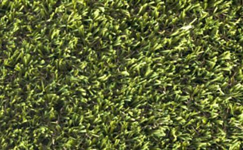 green-ariosa-ecoflex